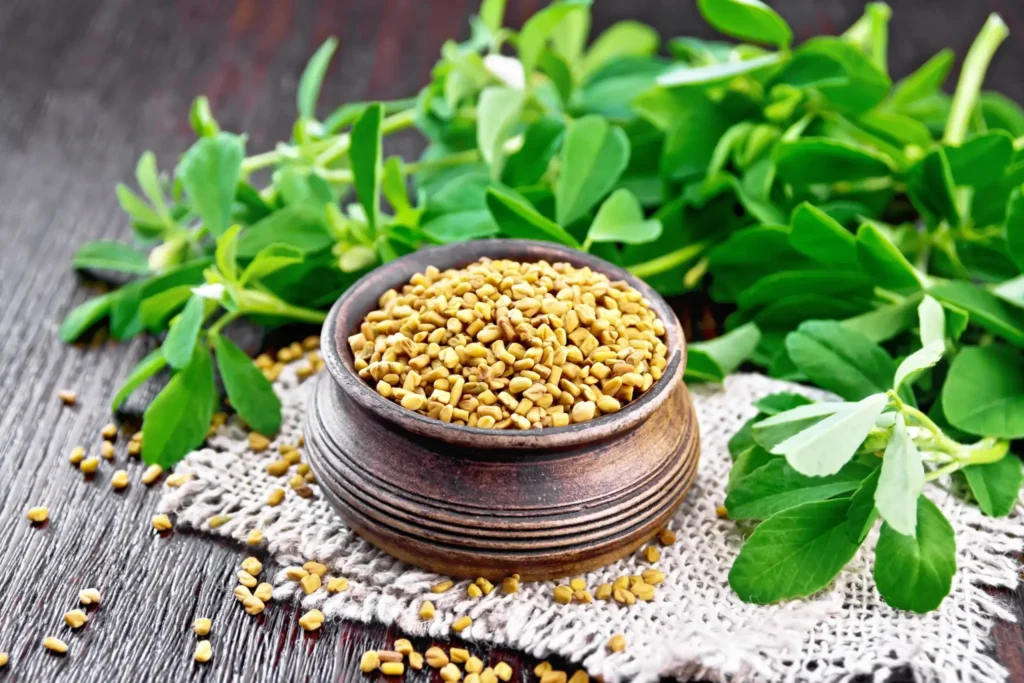 Fenugreek-Leaves-Seed-scaled