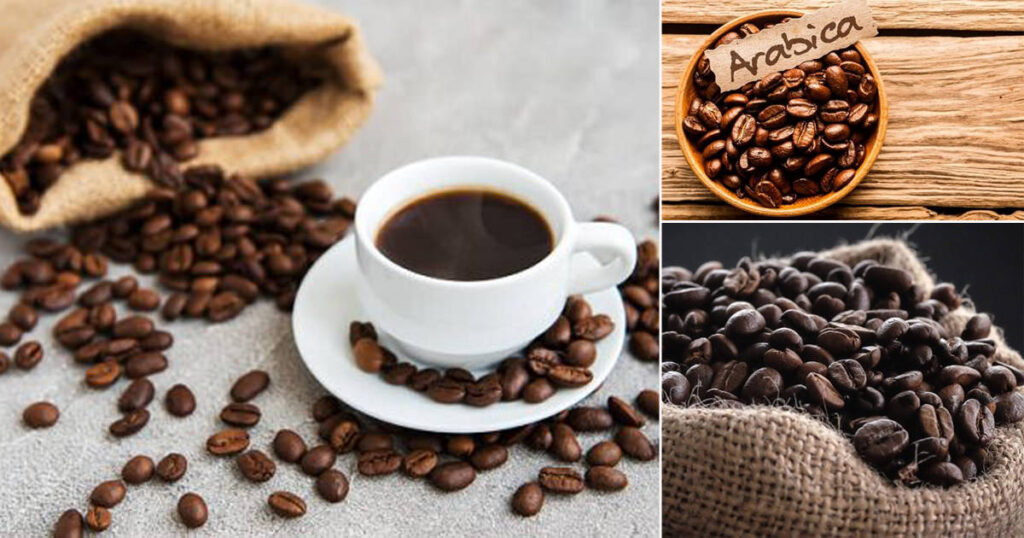 Types-of-Coffee-Beans-in-India2